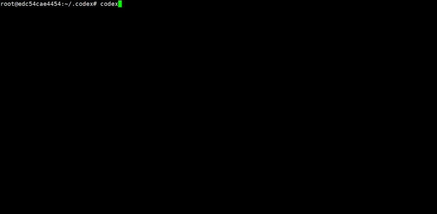 Launch Codex CLI
